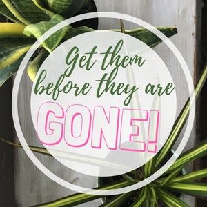 Get Them Before They Are Gone!